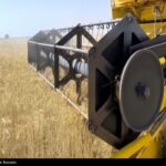 استقبال کشاورزان از نرخ جدید خرید تضمینی گندم