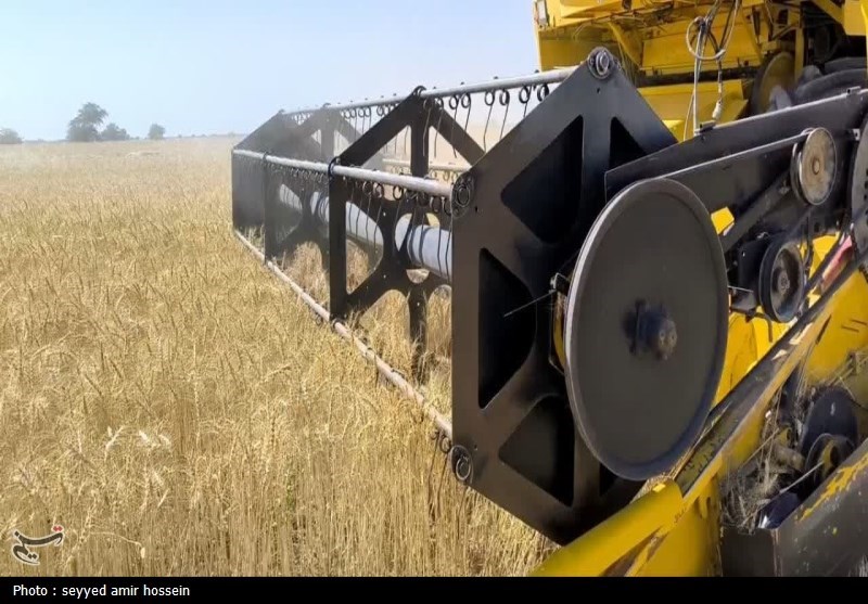 استقبال کشاورزان از نرخ جدید خرید تضمینی گندم
