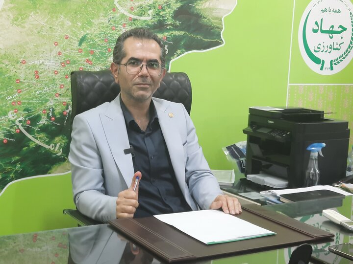 افزایش سطح کشت کاملینا در گلستان به ۸ هزار هکتار رسید