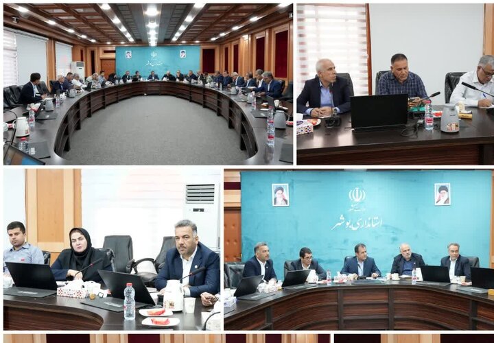 امینی: جایگاه استان بوشهر در تولید میگوی پرورشی کشور تقویت می شود