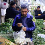 بهار سبز سنندج؛ از کوه تا بازار،روایت رونق گیاهان خوراکی و اشتغال محلی