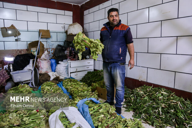 بهار سبز سنندج؛ از کوه تا بازار،روایت رونق گیاهان خوراکی و اشتغال محلی