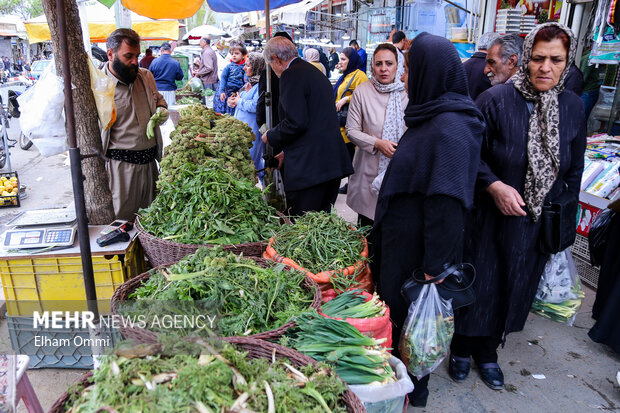 بهار سبز سنندج؛ از کوه تا بازار،روایت رونق گیاهان خوراکی و اشتغال محلی