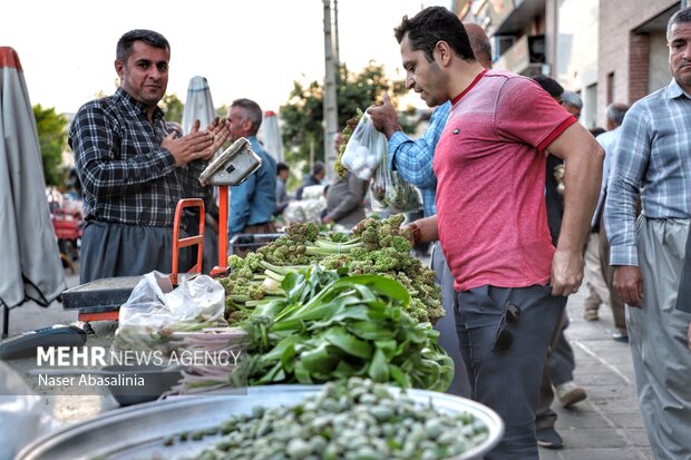 بهار سبز سنندج؛ از کوه تا بازار،روایت رونق گیاهان خوراکی و اشتغال محلی