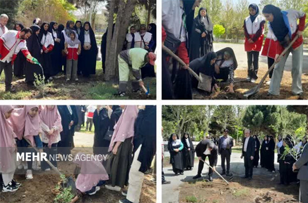 تهران نفس تازه می‌کند؛ آغاز موج جدید درختکاری برای مهار آلودگی و گرما