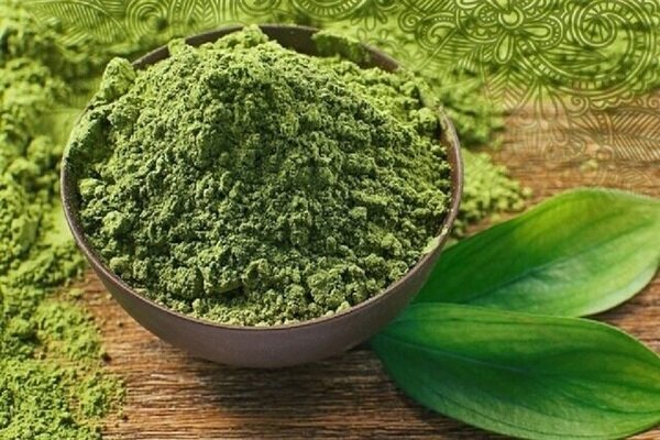 توسعه کشت گیاهان دارویی در دیمزارهای کجور