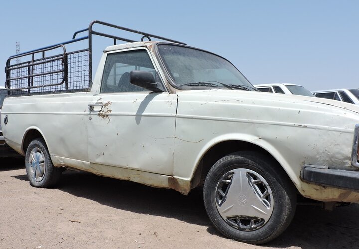 توقیف ۲ وانت مشکوک در میامی؛ ۴۳ رأس دام قاچاق کشف شد