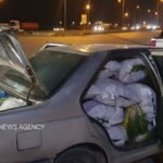 توقیف ۴ محموله قاچاق سیر وحشی در عملیات مشترک در شمال خوزستان