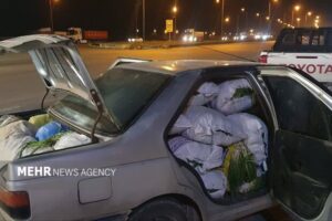 توقیف ۴ محموله قاچاق سیر وحشی در عملیات مشترک در شمال خوزستان