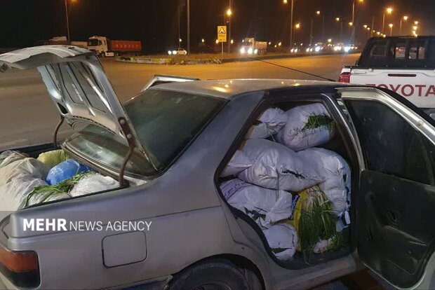 توقیف ۴ محموله قاچاق سیر وحشی در عملیات مشترک در شمال خوزستان