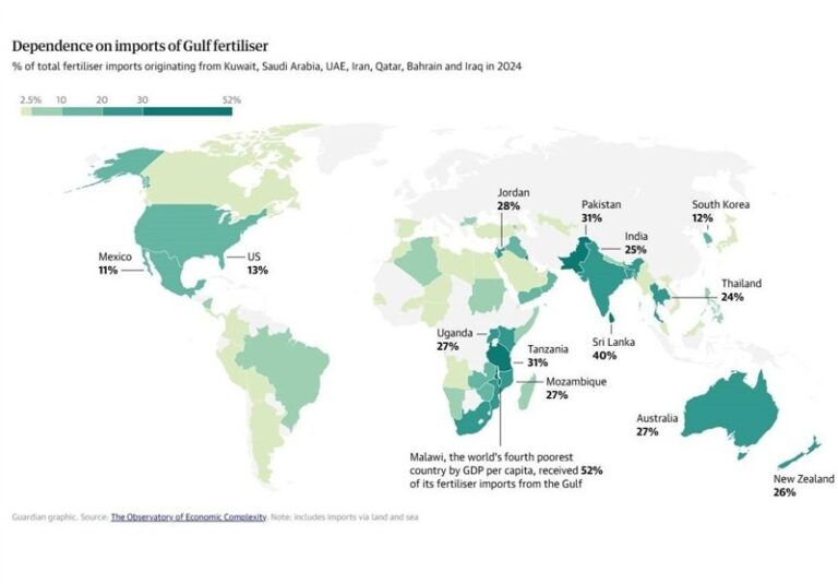 جزئیات وابستگی غذای جهان به تنگه هرمز/ موج قیمتی بر همه تاثیرگذار است