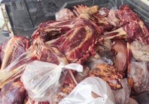 جلوگیری از ورود 950 تُن گوشت ناسالم به بازار کردستان