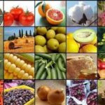 جهش تولید کشاورزی به 130 میلیون تن در سایه جنگ و خشکسالی