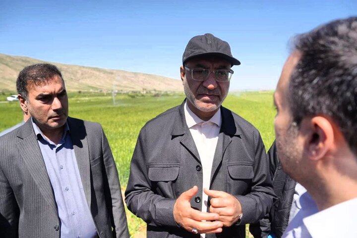 حبیبی: معیشت مرزنشینان با اجرای سامانه گرمسیری تضمین شد