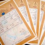 حدنگاری و صدور سند زمین‌های کشاورزی تسریع شد