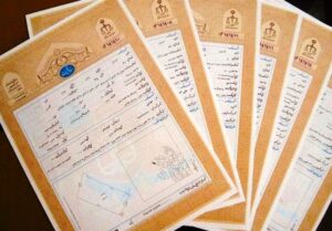 حدنگاری و صدور سند زمین‌های کشاورزی تسریع شد