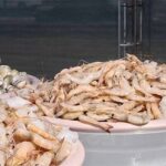 خوزستان پنجمین تولیدکننده میگو در کشور است