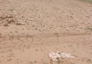 دادستان اندیمشک: برخورد قانونی با مقصران احتمالی تشدید سیلاب کوی نیرو