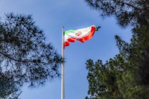 درختی که آغوش گشوده است