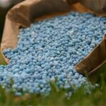 دغدغه‌های تولید کود در روزهای سخت؛ ضرورت بازنگری روند تخصیص ارز و مجوز