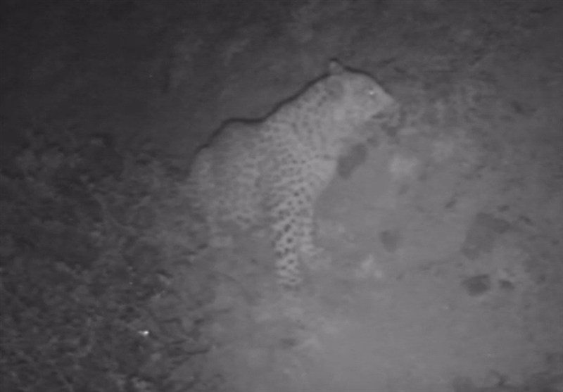 اخبار رشت , اخبار استان گیلان , پایش و نظارت در محیط زیست , 