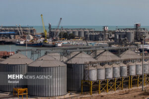 رئیس کارگروه راه‌اندازی و توسعه مناطق آزاد جدید منصوب شد