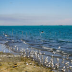 رادیو تاثیر اقتصادی خلیج فارس را مرور می‌کند؛ جنگ رمضان وتغییر معادلات