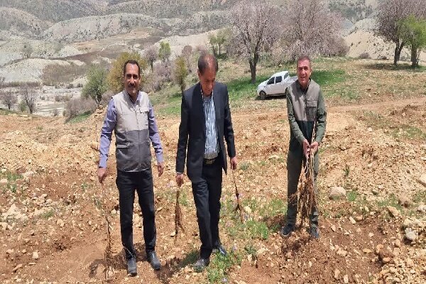 رفع تصرف ۲۵ هکتار از اراضی ملی در کهگیلویه و بویراحمد