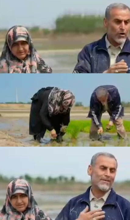 زندگی ساده اما جهادی یک زوج شالیکار مازندرانی