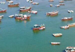 صیادان بوشهر؛ نگهبانان بی‌صدای خلیج فارس در روزهای التهاب و جنگ