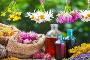 ظرفیت بالای سراوان در تولید گیاهان دارویی؛ بستری برای توسعه اقتصادی