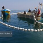 مازندران از ظرفیت‌های قابل‌توجهی در زمینه آبزی‌پروری برخوردار است