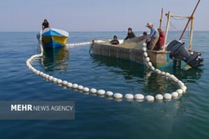 مازندران از ظرفیت‌های قابل‌توجهی در زمینه آبزی‌پروری برخوردار است