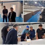 محمدی دوست: تولید میگو در استان بوشهر با وجود چالش‌ها ادامه دارد