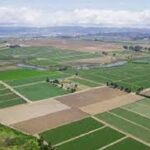 میرنظامی: حدنگاری در کاشان باید شتاب بگیرد