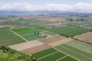 میرنظامی: حدنگاری در کاشان باید شتاب بگیرد