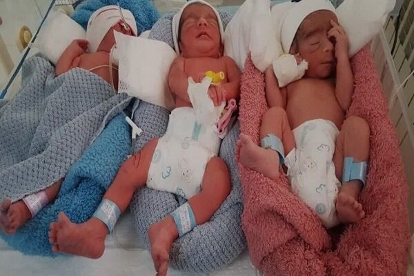 نخستین زایمان سه‌قلوزایی سال ۱۴۰۵ در بیمارستان شهید بهشتی کاشان