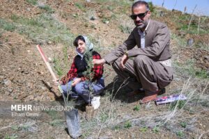 پویش درختکاری نهال امید به نیابت از شهدا در مریوان