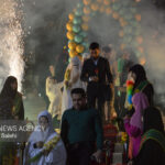 پیوند انقلابی در دسته همبستگی مردم شیراز