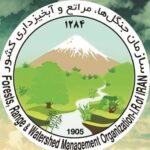 پیگیری بین‌المللی حمله به سازمان منابع طبیعی کشور