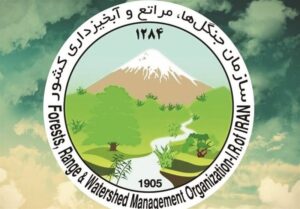 پیگیری بین‌المللی حمله به سازمان منابع طبیعی کشور