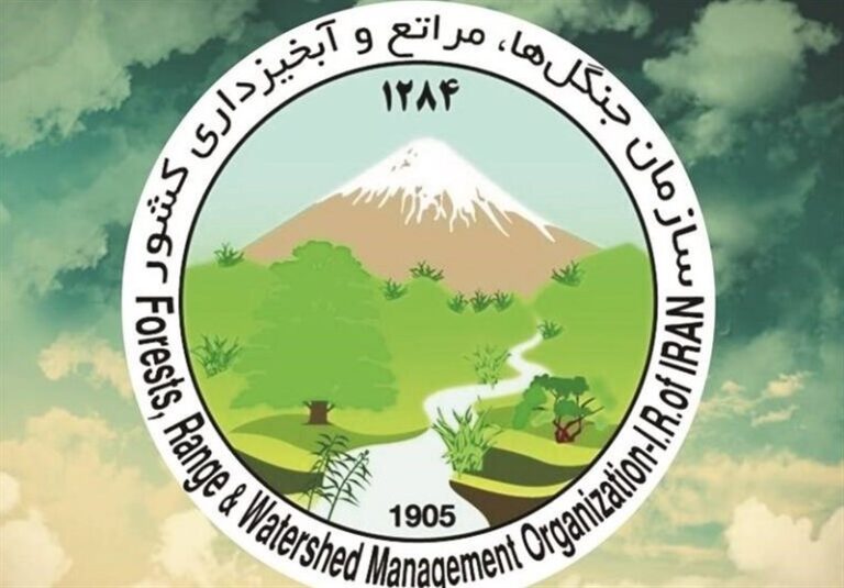 پیگیری بین‌المللی حمله به سازمان منابع طبیعی کشور