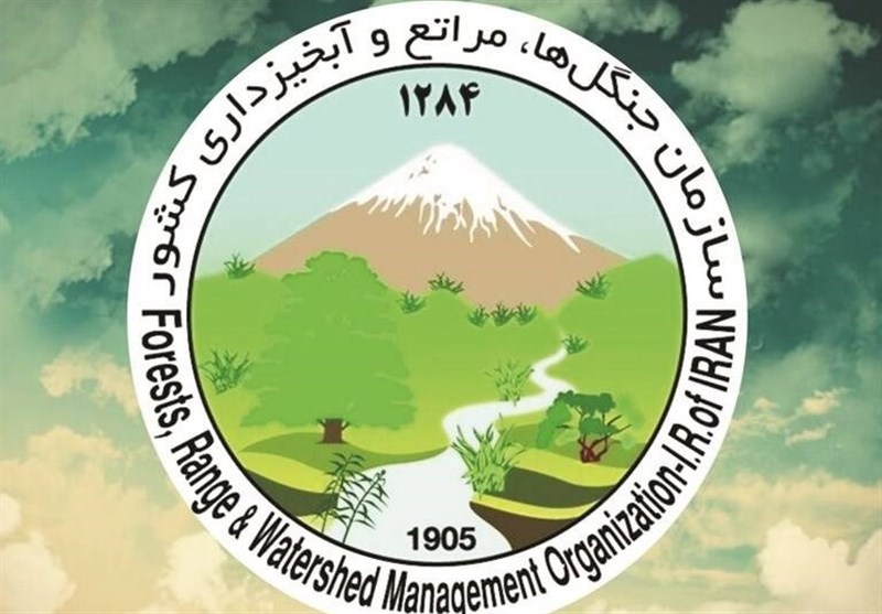 پیگیری بین‌المللی حمله به سازمان منابع طبیعی کشور