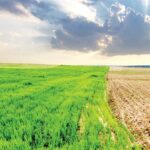 چالش‌های اقلیمی کشاورزی ایران؛ از خشکسالی تا امنیت غذایی