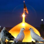 چهارشنبه‌های امام رضایی؛ دل‌های دخیل بسته به پنجره فولاد