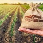 ۲۵۰ میلیارد تومان غرامت بیمه آبزیان پرداخت شد