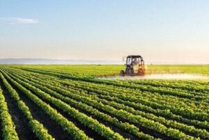 ۴۳۰۰ بهره‌بردار کشاورزی آذربایجان ‌غربی توانمند شدند