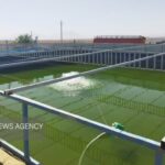 ۸۰ واحد آبزی‌پروری در شاهرود؛ سالانه ۶۰۰ تن گوشت ماهی به بازار می‌آید