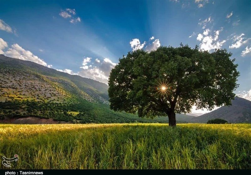 افسانه آب در زاگرس/ تناقض تغییرات اقلیمی لرستان! نظام مسائل استان لرستان , استان لرستان , اخبار استان لرستان , بحران آب ,