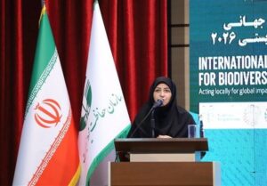 انصاری: یک میلیون و 340 هزار هکتار ‌اراضی تالابی ‌سند مالکیت گرفت